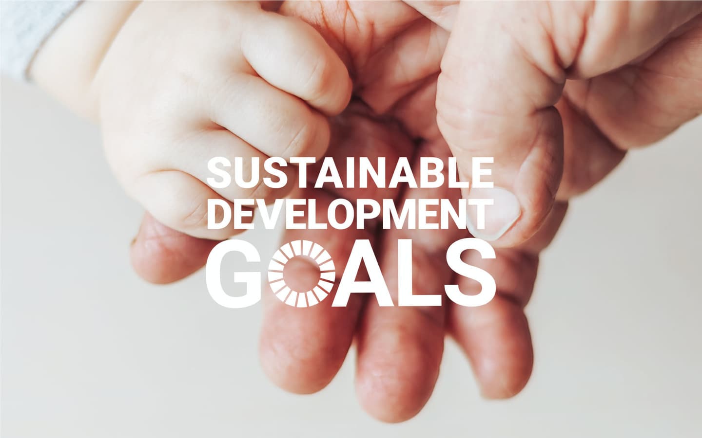 SDGS