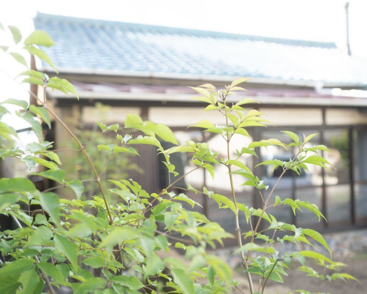 等身大フォト