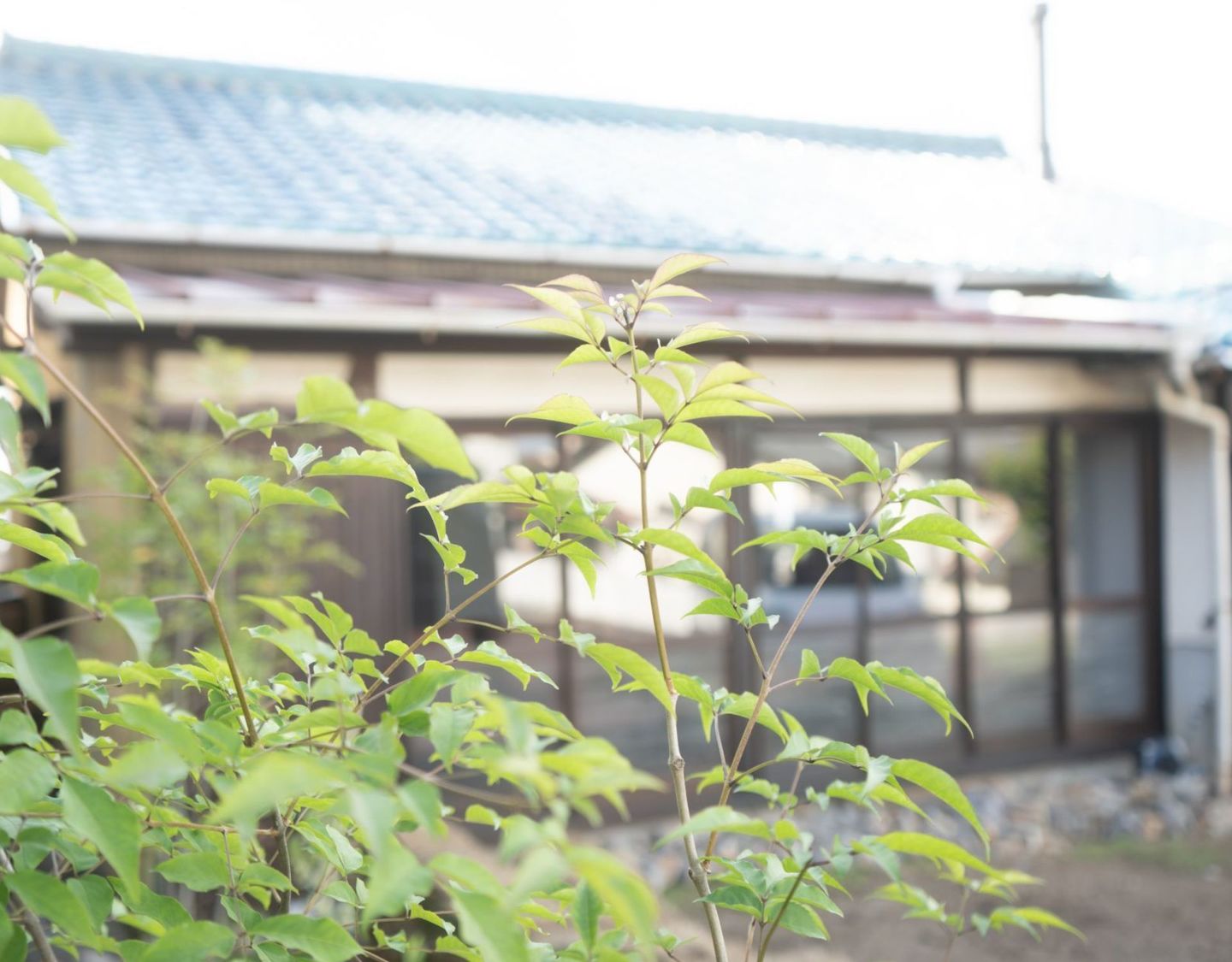 等身大フォト